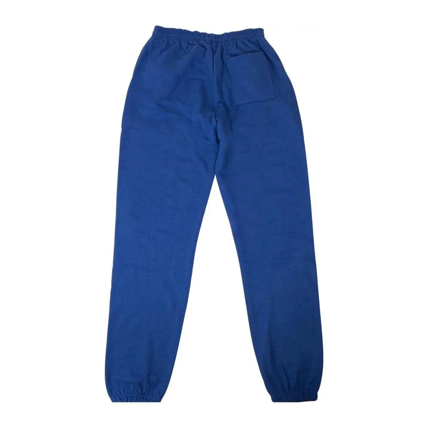 Sp5der Sweatpant Web Blue back