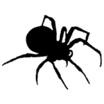 spider hoodies logo