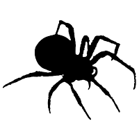 spider hoodies logo